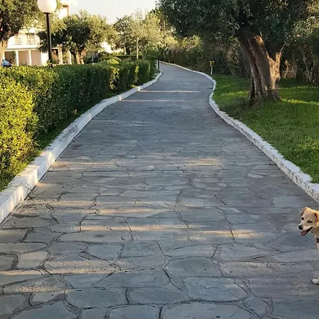 Family House In Gerakini Holiday home Kalyves Polygyrou