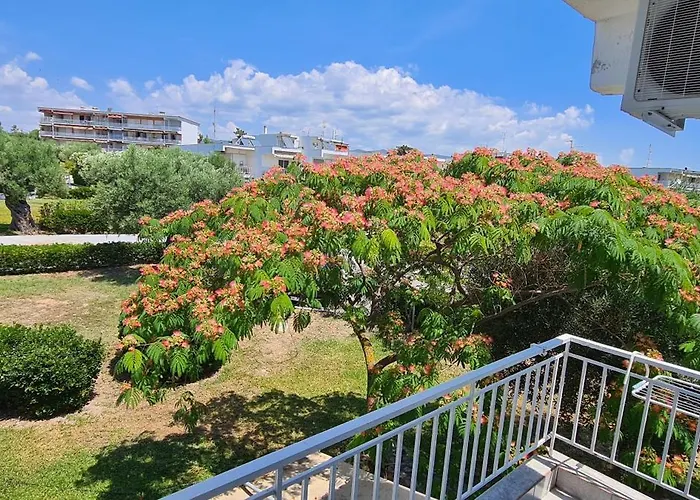 Family House In Gerakini Σπίτι διακοπών Kalyves Polygyrou